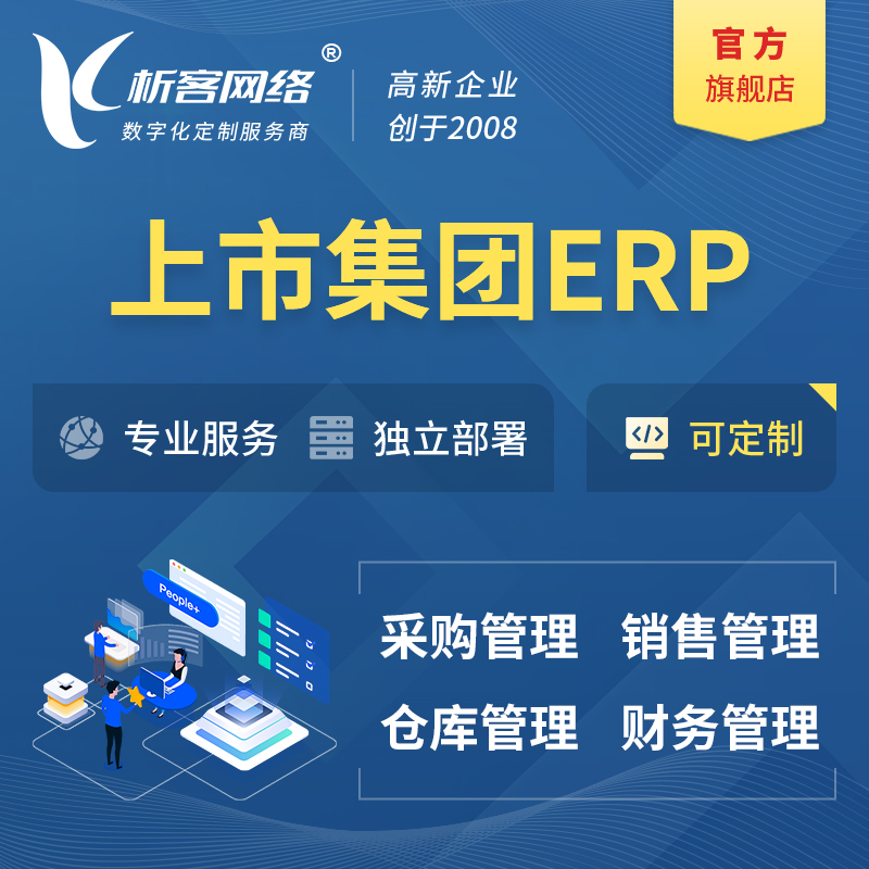 资阳上市集团ERP软件生产MES车间管理系统